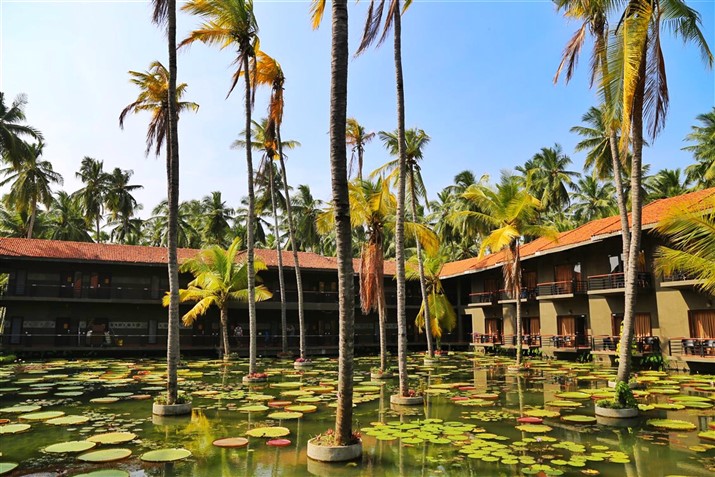 Dindi by Godavari 1 (1)